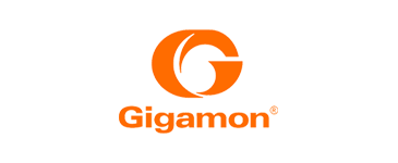 Gigamon.png